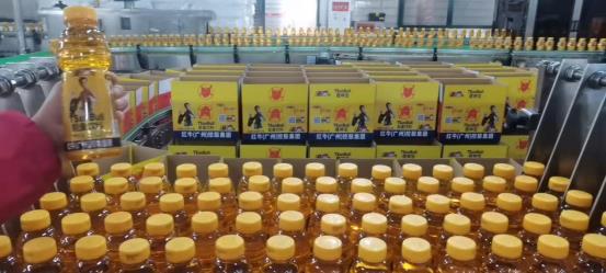 5b22fab825ea21fc0f501c4ac02311b