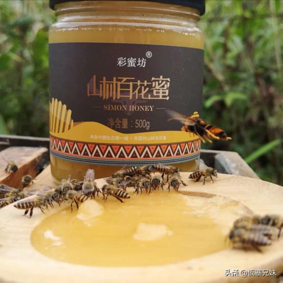 丁氏蜂蜜扶贫生产模式带动乡村脱贫致富