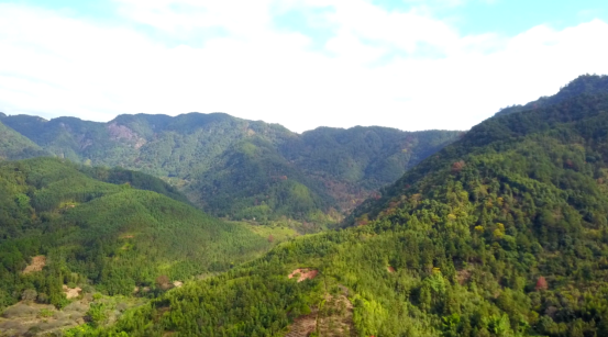 ΢�Ž�ͼ_20211116101125